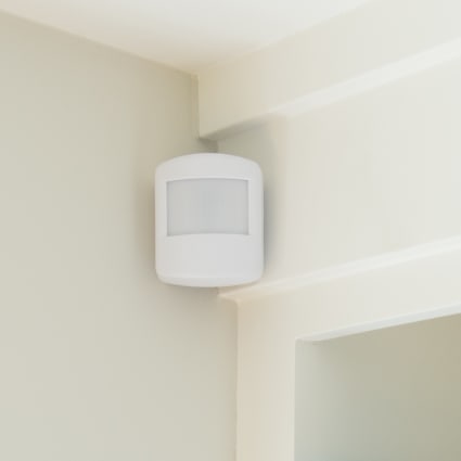 Boston motion sensor